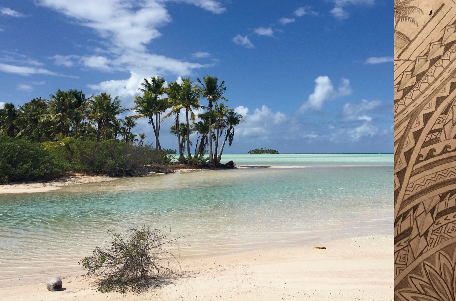 TERRES EN VUE… - immagine