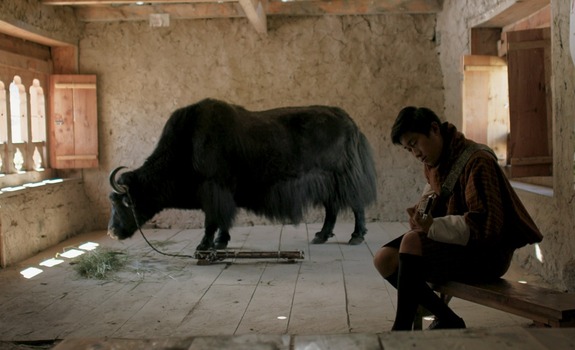 Cinema dal Mondo - immagine da MIDNIGHT TRAVELER