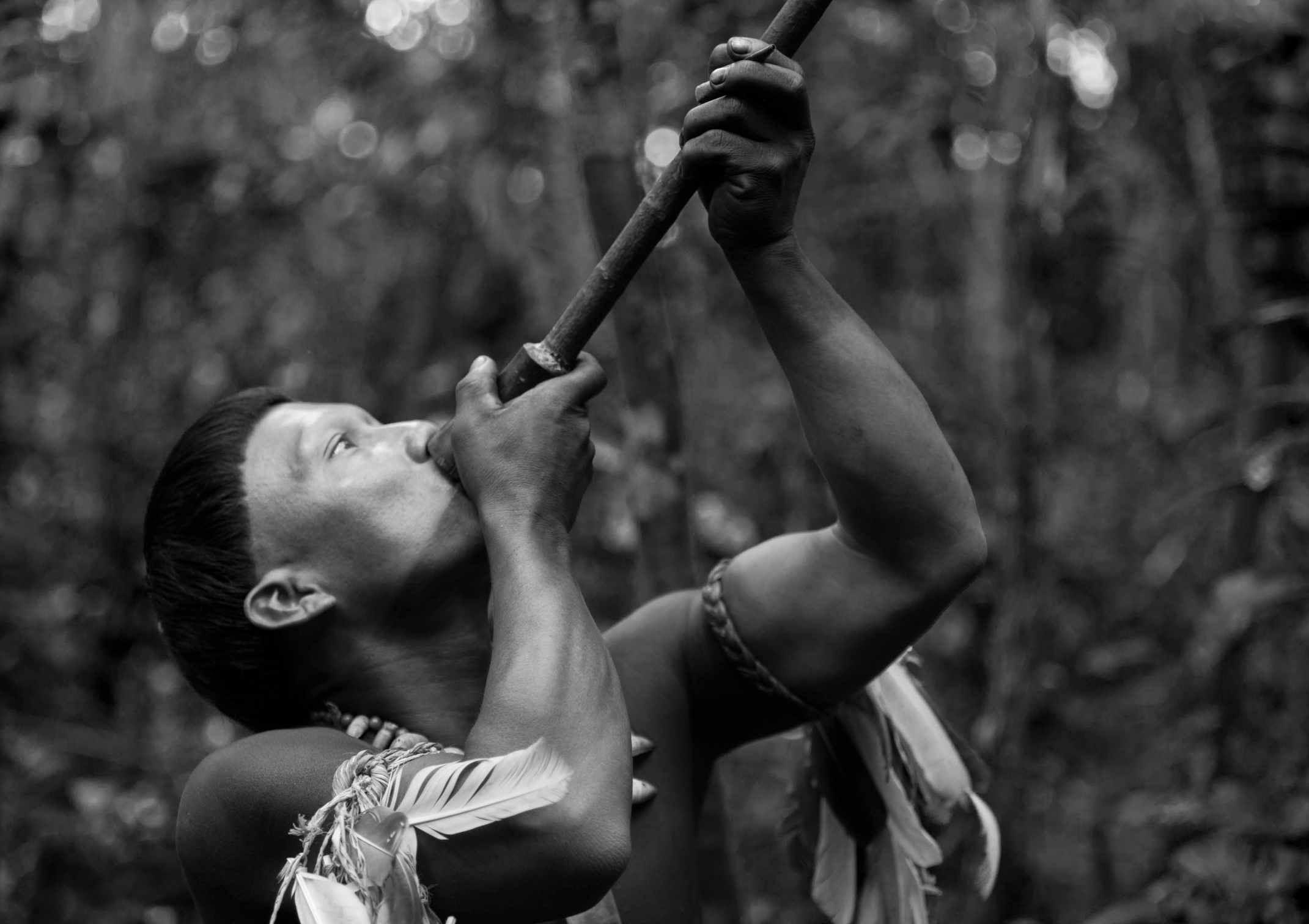 AMAZZONIA - immagine