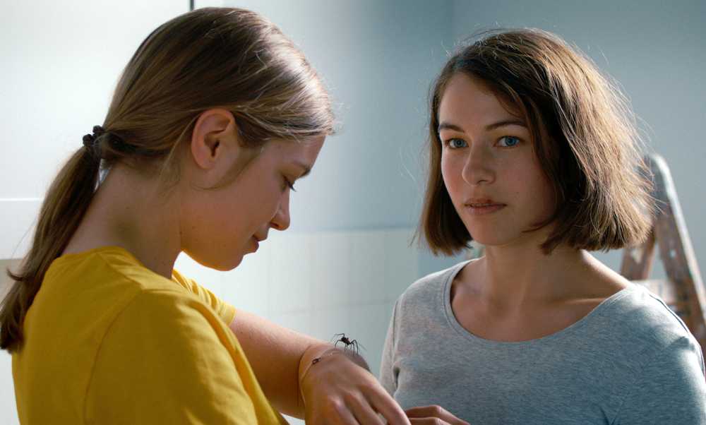 DAS MÄDCHEN UND DIE SPINNE - immagine