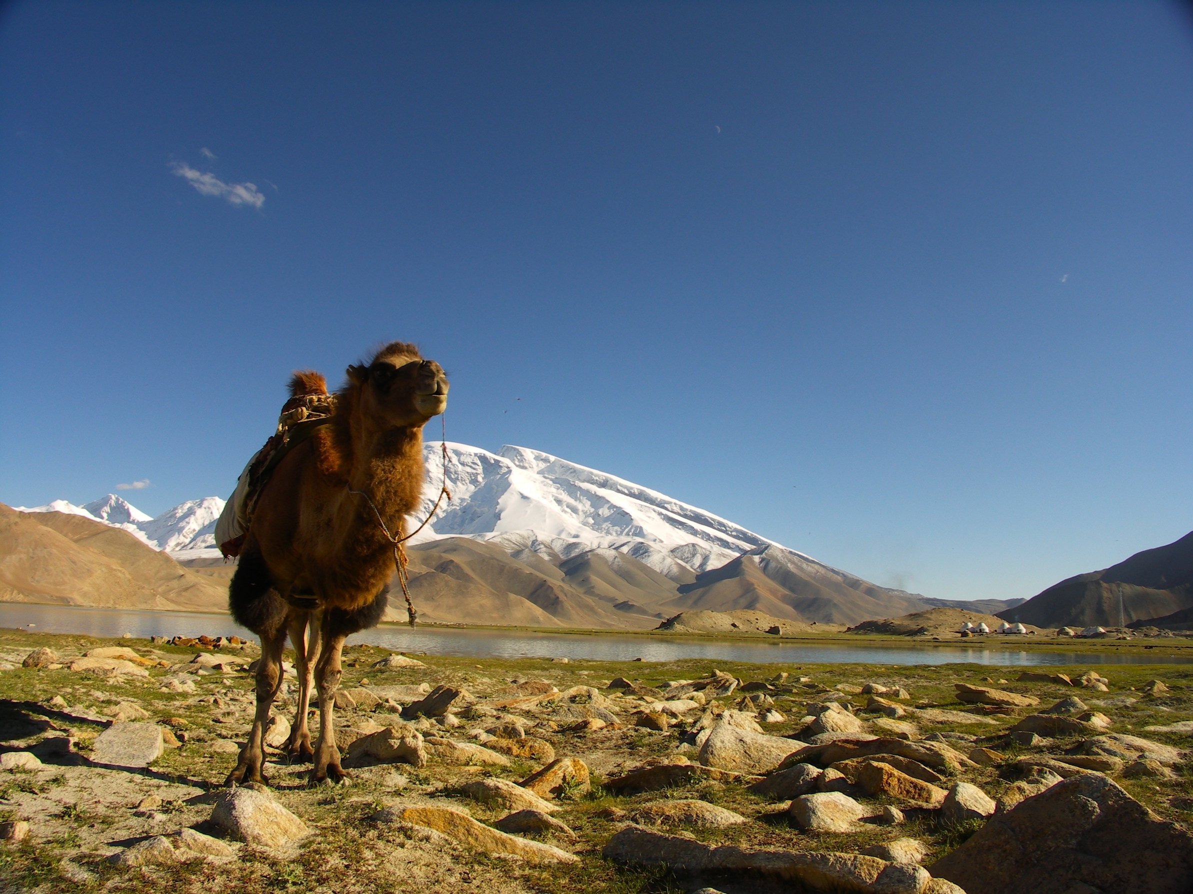 Immagine da NOMAD’S LAND