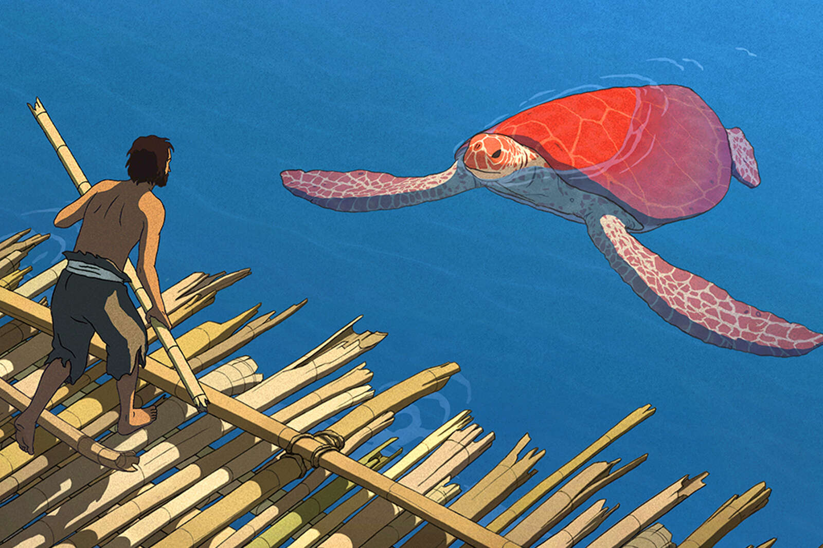 LA TORTUE ROUGE