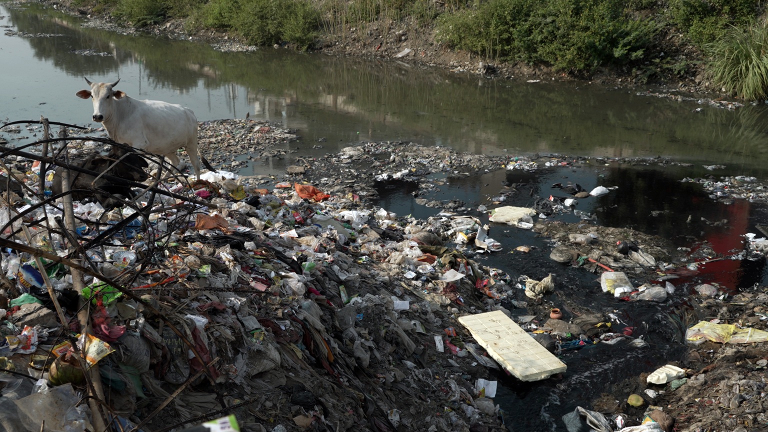 Immagine da MOTHER YAMUNA