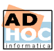 Ad Hoc Informatica